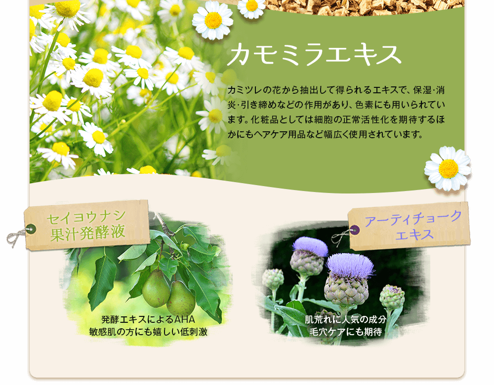 グリチルリチン酸ジカリウム、カモミラエキス、セイヨウナシ果汁発酵液、アーティチョークエキス