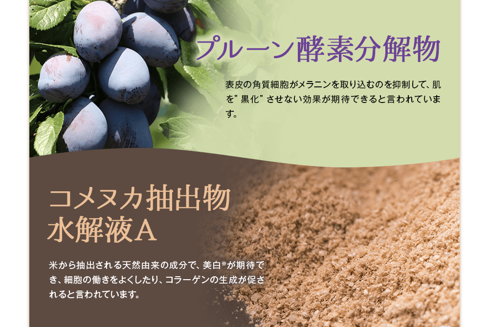 水溶性プラセンタエキス、プルーン酵素分解物、コメヌカ抽出物水解液A