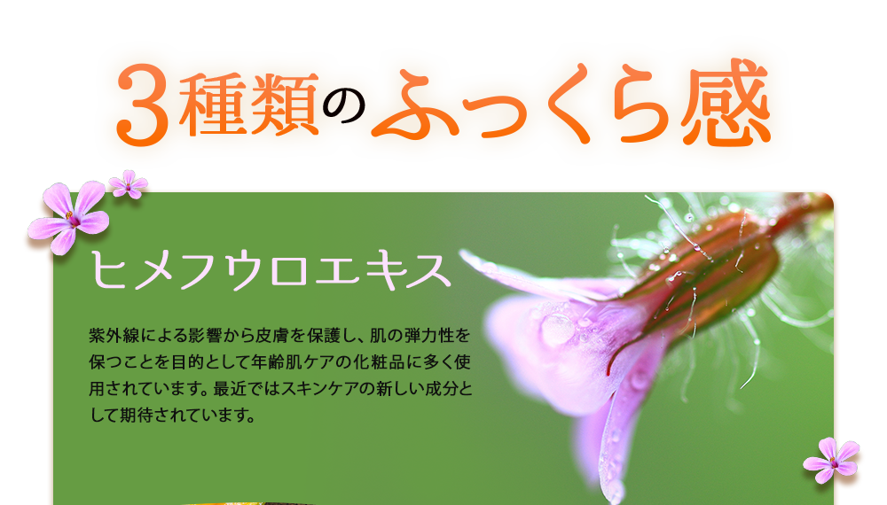 3種類のふっくら感